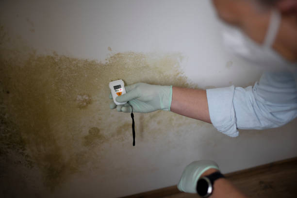 Best Crawl Space Mold Removal  in Royal Kunia, HI