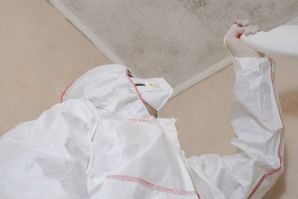 Best Crawl Space Mold Removal  in Royal Kunia, HI
